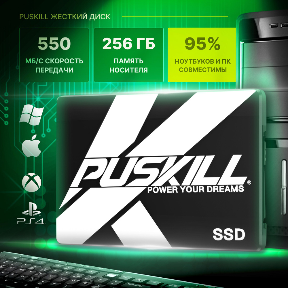 PUSKILL 256 ГБ Внутренний SSD-диск жесткий диск (ZD0R3G30) #1