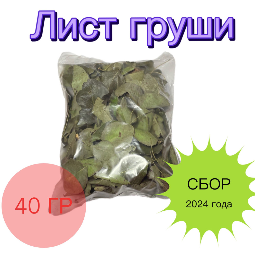 Лист груши 40 гр #1