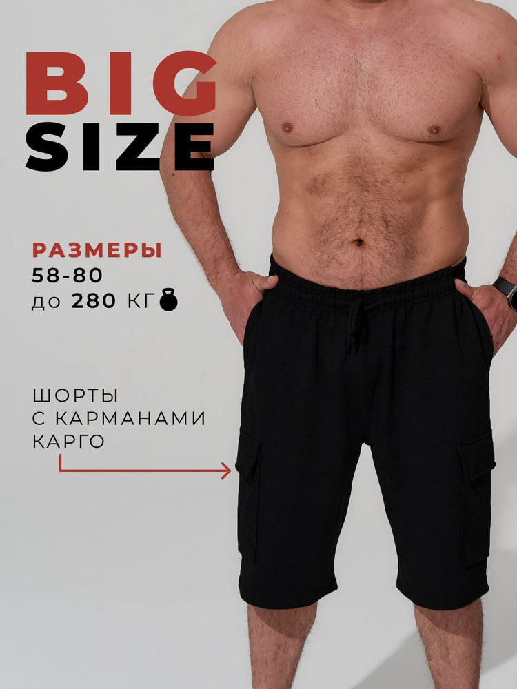 Шорты MR. BIGMAN #1