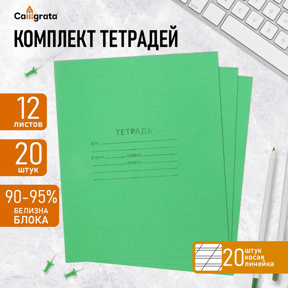 Комплект тетрадей из 20 штук, 12 листов в косую линию КПК "Зелёная обложка", блок офсет, белизна 92% #1