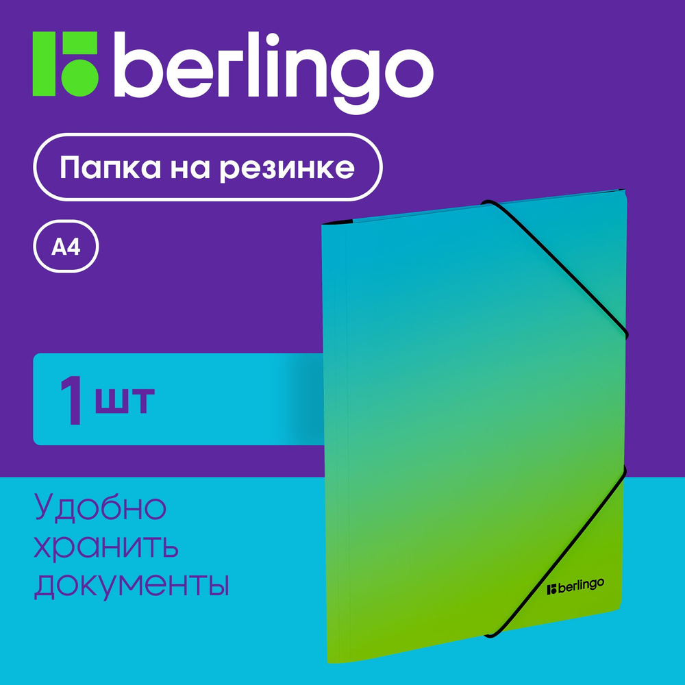 Папка на резинке для документов и бумаг Berlingo "Radiance" А4 #1