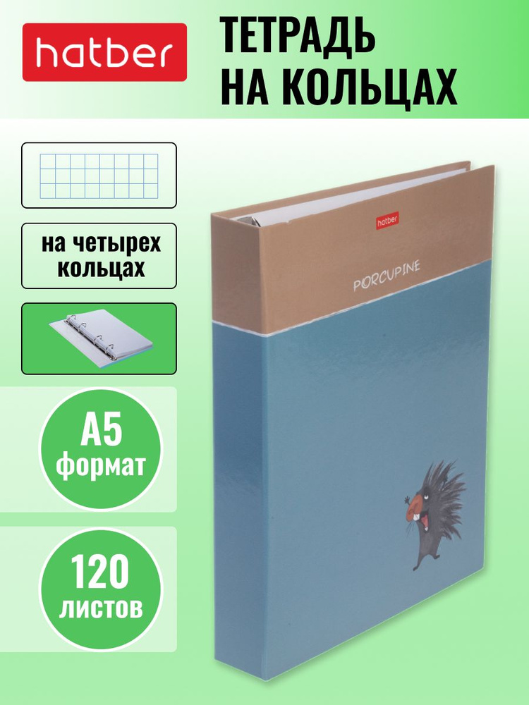 Тетрадь со сменным блоком Hatber 120 листов, формата А5, в клетку, на четырех кольцах, глянцевая ламинация #1