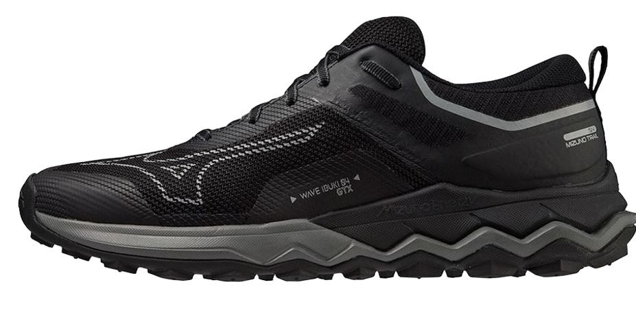 Кроссовки Mizuno Wave Ibuki 4 Gtx #1