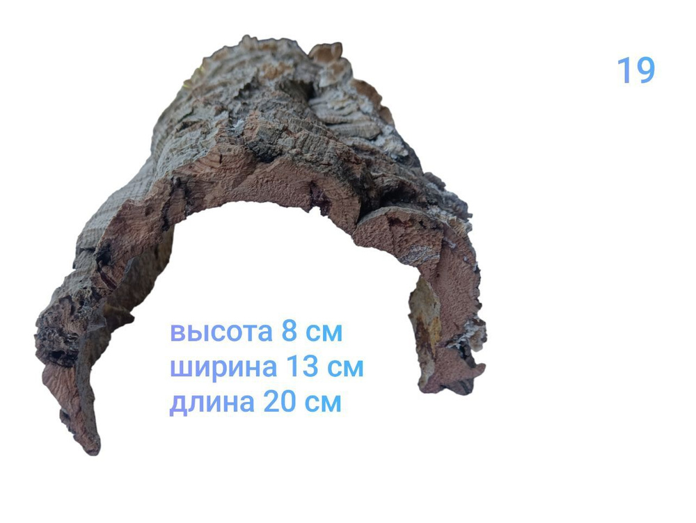 Укрытие для рептилий Д20*В8*Ш13 натуральная кора 1 штука #1