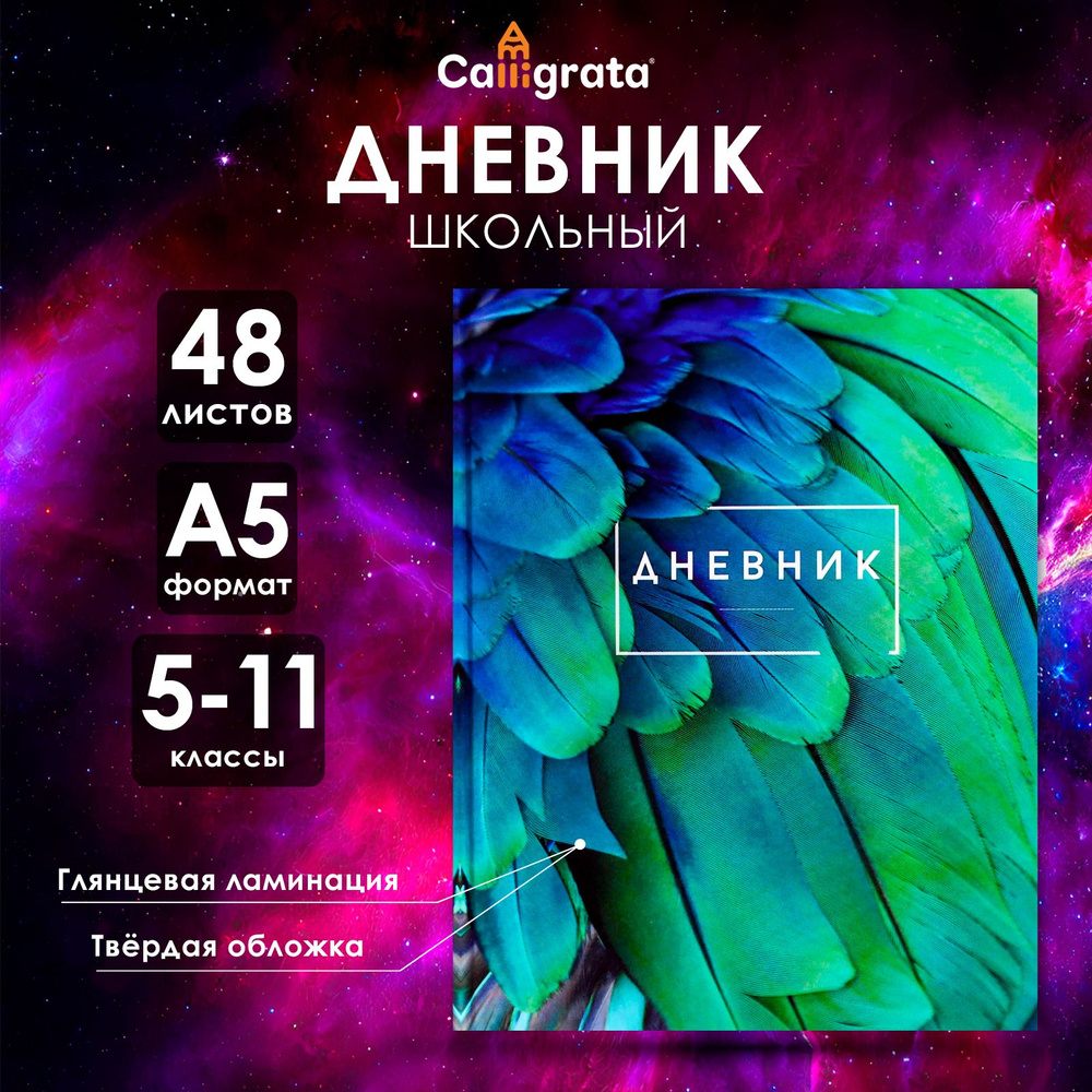 Дневник для 5-11 классов, "Перья", твердая обложка 7БЦ, глянцевая ламинация, 48 листов  #1