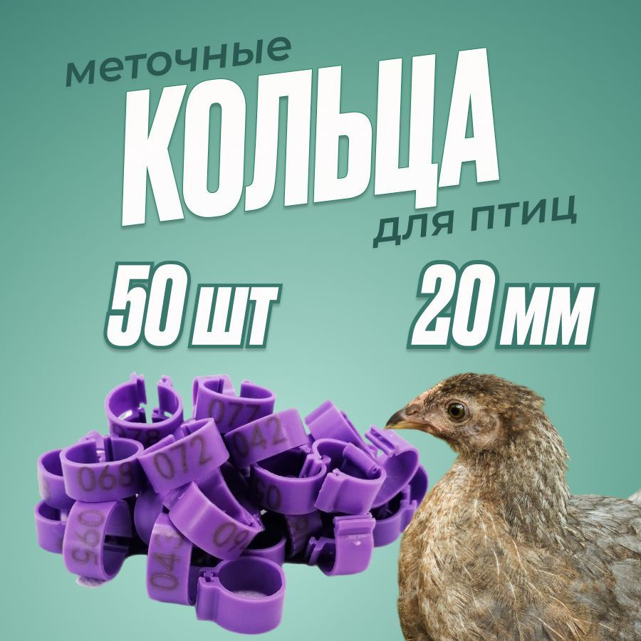 Кольца 20мм фиолетовые 50шт для взрослых кур #1