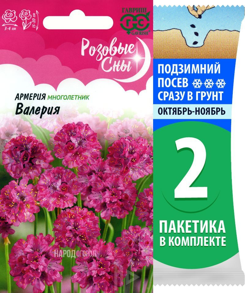 Семена Армерия приморская Валерия, 2 пакетика по 0,02г/15шт  #1