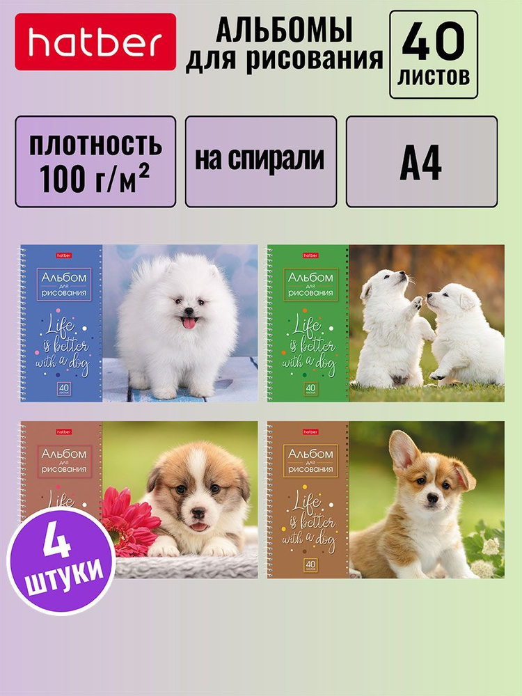 АЛЬБОМ для рисования Hatber 40л А4 перфорация на отрыв на спирали 4 штуки/4 дизайна в блоке  #1