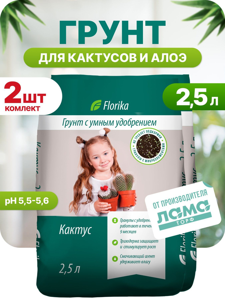 Florika/ Грунт для кактусов и алоэ 2.5 л упаковка 2 шт #1