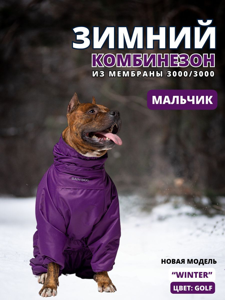 Зимний комбинезон для собак "Winter", 50/3XL, мужской, purple #1