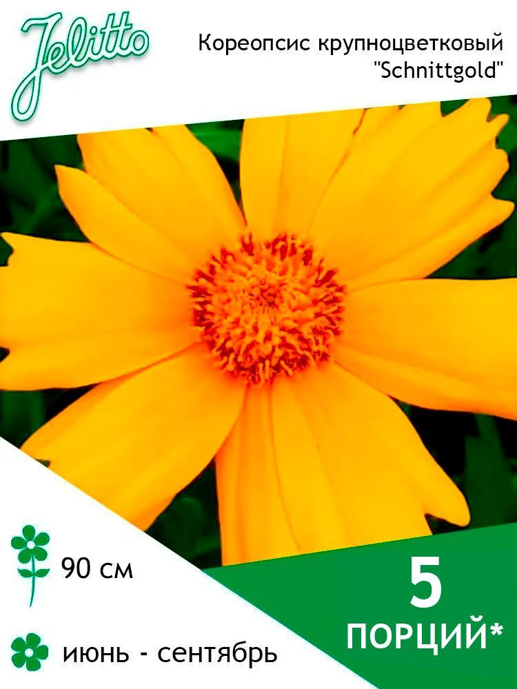 Семена Jelitto Кореопсис крупноцветковый "Schnittgold" (COREOPSIS grandiflora "Schnittgold") 5 порций #1