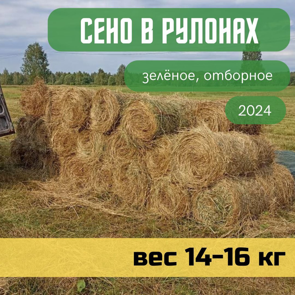 Сено луговое, рулон 14-16 кг, отборное, зеленое для грызунов и других домашних животных  #1