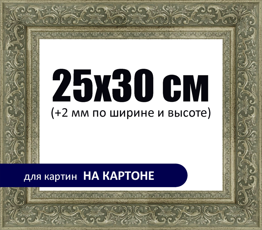 Рама 25х30 см для картины на картоне, серебро на сером (64 мм)  #1