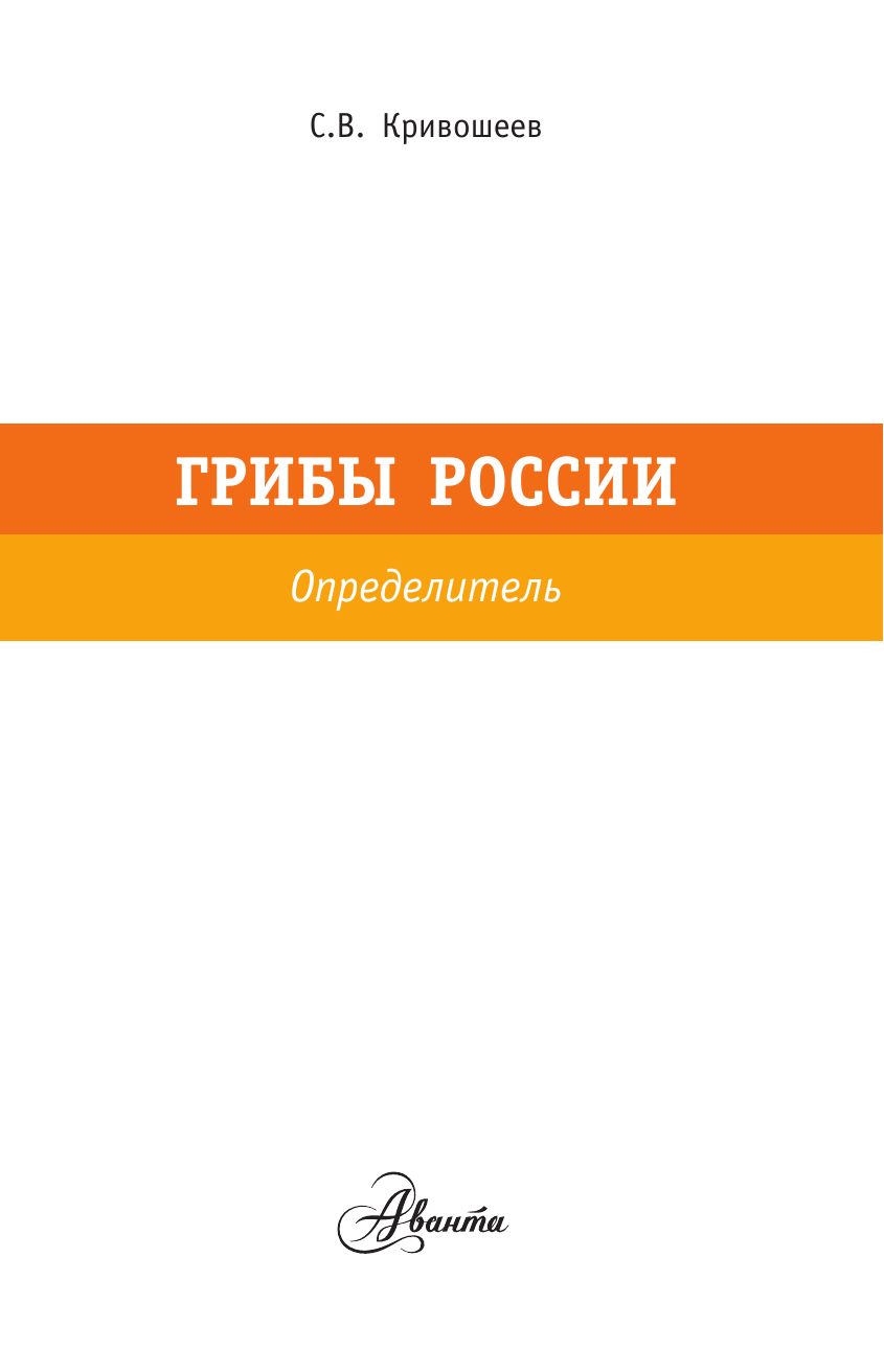 «Грибы России» — фото 4