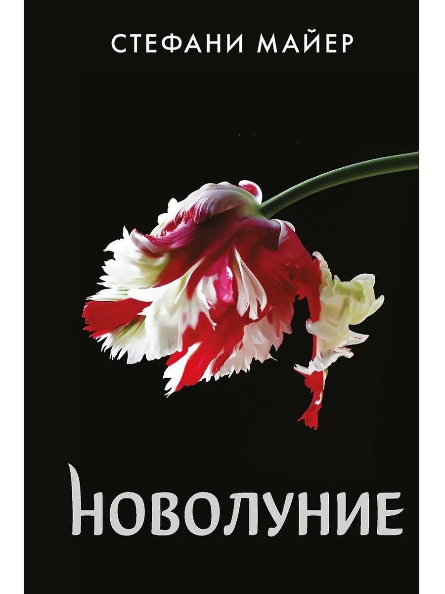 «Новолуние» — фото 3