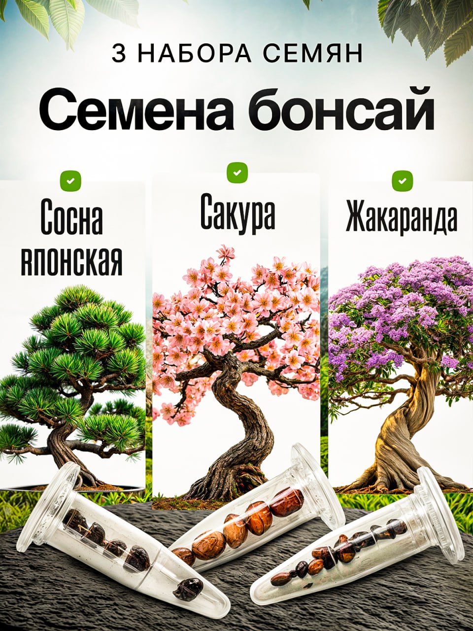 НаборсемяндлябонсайСакураСоснаЖакаранда