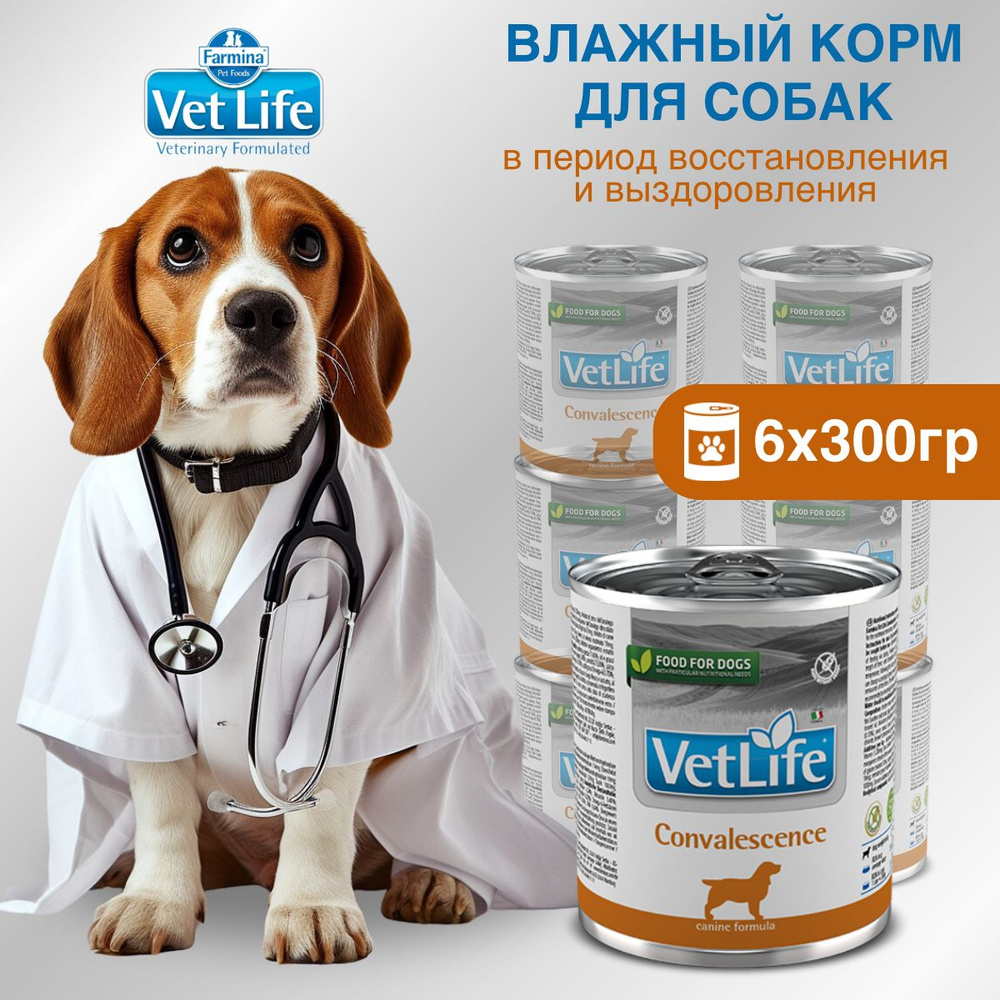 Влажный корм Farmina Vet Life Convalescence для собак после операций, Фармина Вет Лайф лечебный рацион #1