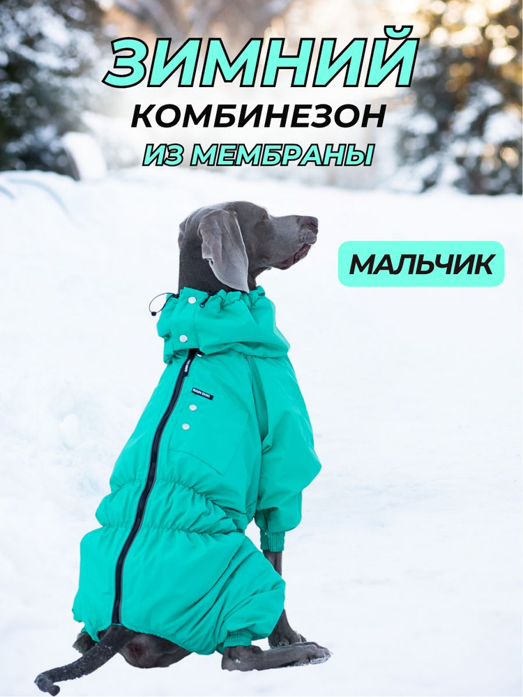 Комбинезон зимний для собак крупных пород SNOW, 65м (кобель), зеленый, 6XL  #1