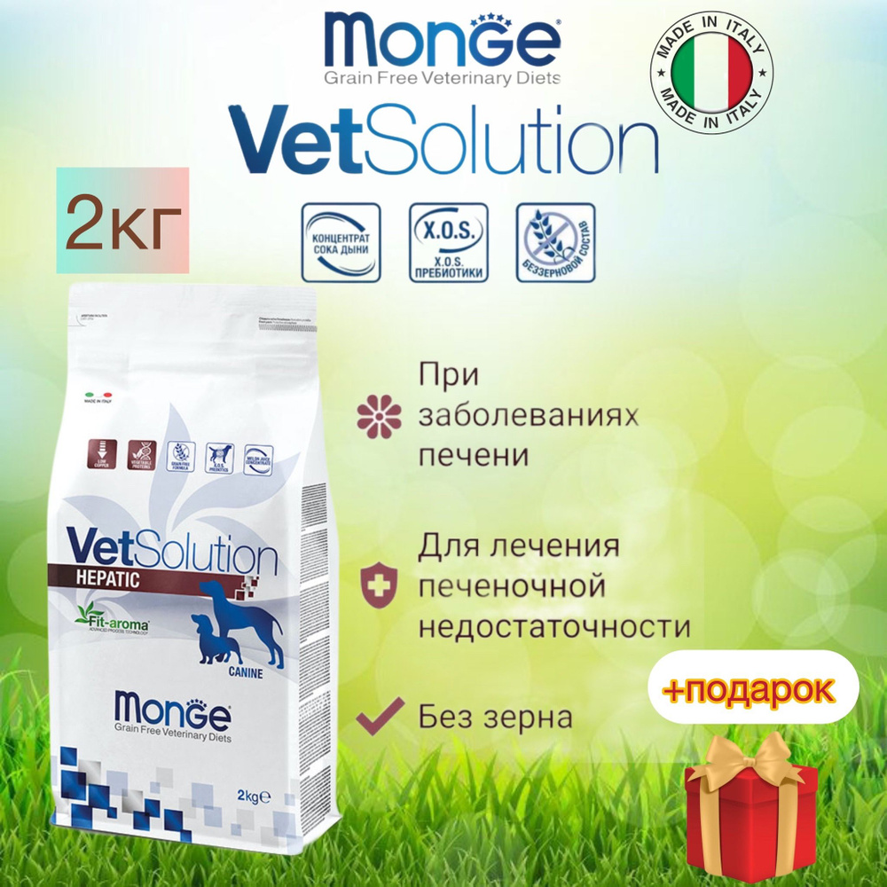Monge vetsolution dog hepatic/ Ветеринарная диета при заболеваниях печени, 2 кг  #1