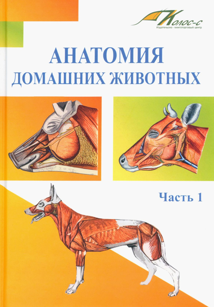 Анатомия домашних животных. Учебник. Часть 1 | Хрусталева Ирина Владимировна, Слесаренко Наталья Анатольевна #1