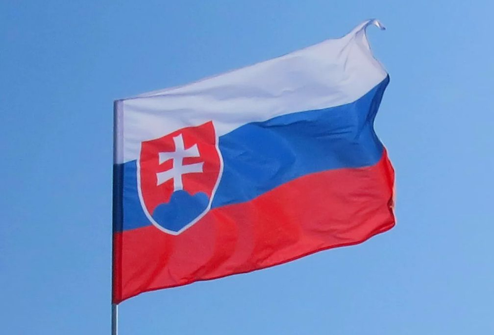 Флаг Словакии 90х135 см #1
