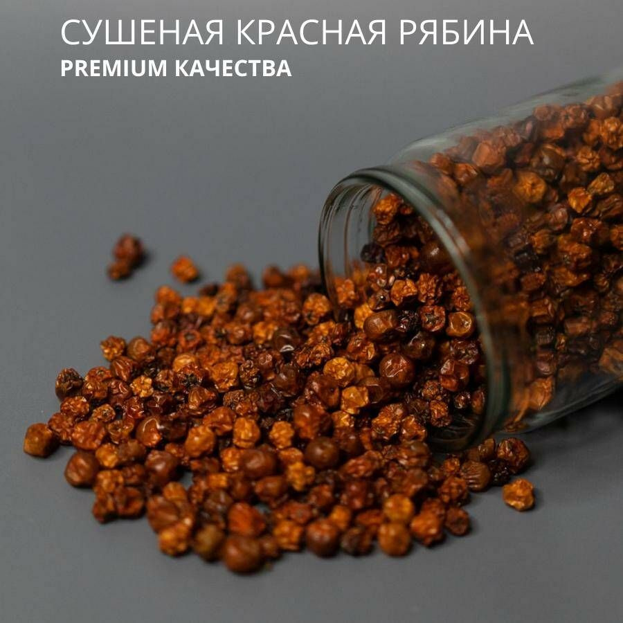 Сушеная КРАСНАЯ РЯБИНА для чая или настойки - натуральный продукт, 100гр.  #1