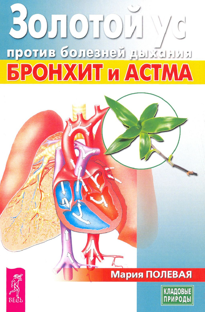 Золотой ус против болезней дыхания. Бронхит и астма | Полевая Мария Александровна  #1