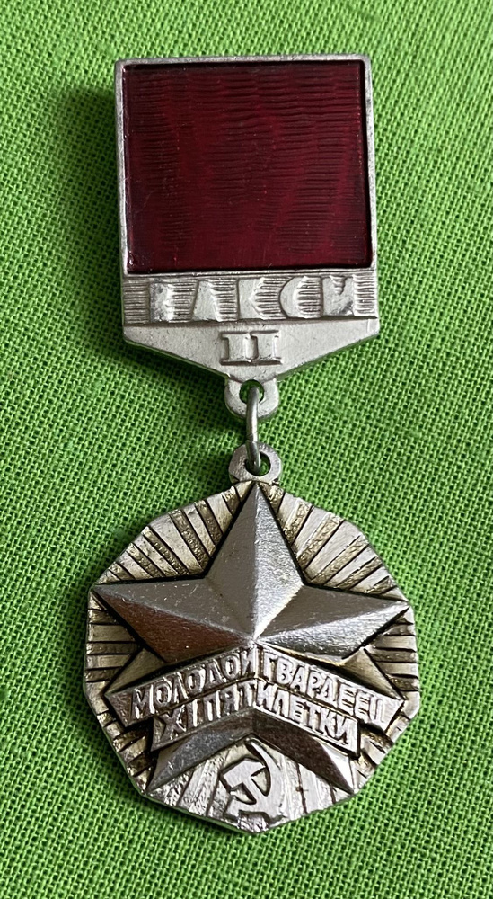 Значок СССР ВЛКСМ. Молодой гвардеец 6 пятилетки. 2 степень  #1