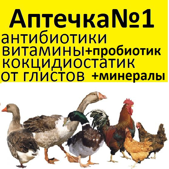 Лечение птиц. Аптечка для цыплят, кур. Подходит для кроликов, свиней, овец, коров.  #1