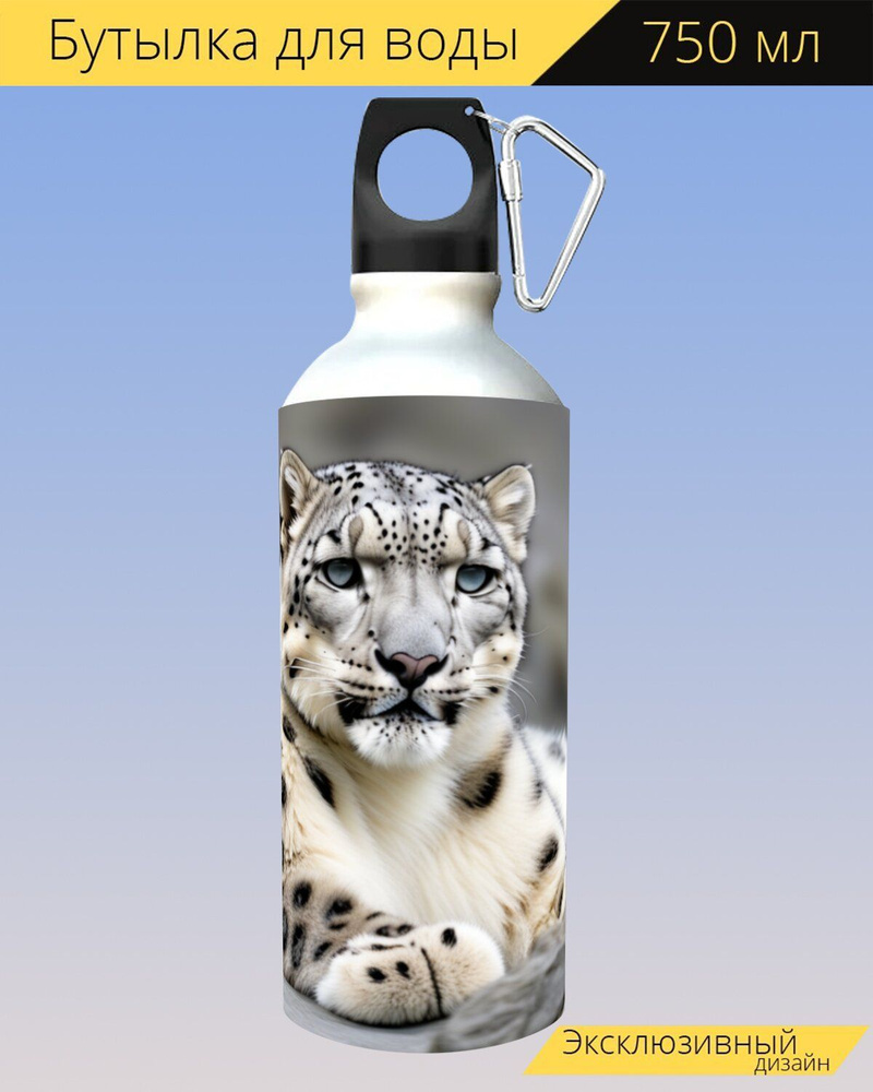 бутылка для воды любителям животных "Животные, снежный барс, отдыхает" для походов и отдыха, 750мл.  #1