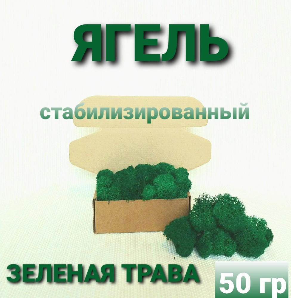 Сухоцветы Мох, 50 гр, 1 шт #1