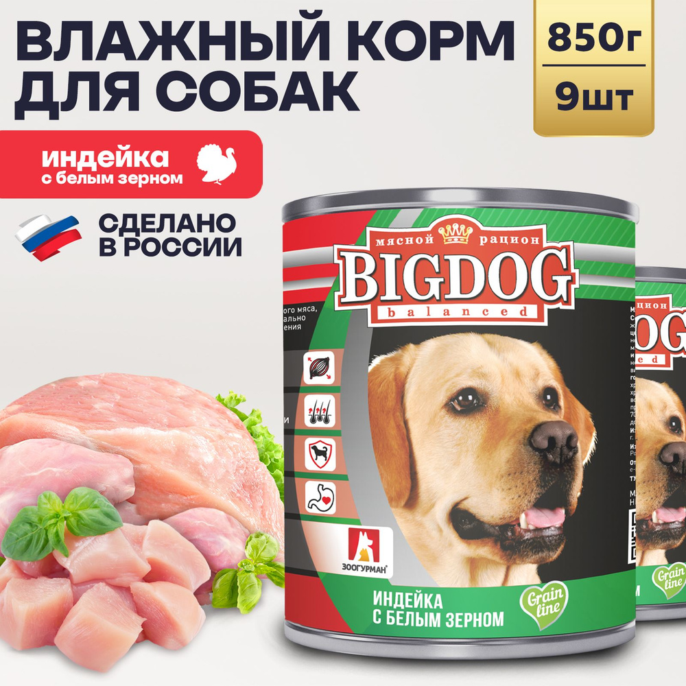 Влажный корм для собак крупных и средних пород Зоогурман ПРЕМИУМ Big Dog Индейка с белым зерном, 850 #1