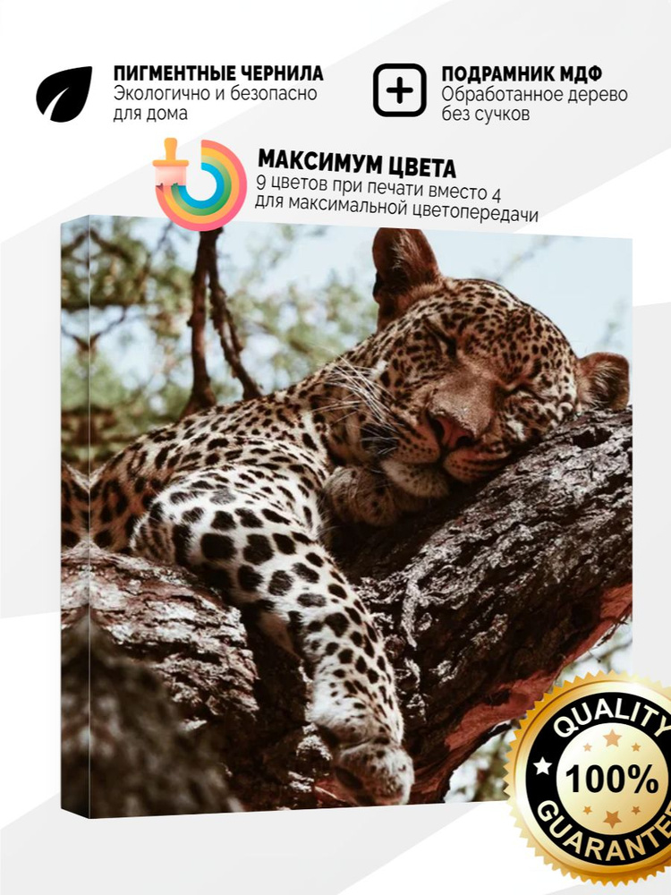 Картина на холсте 60x60 Спящий леопард #1