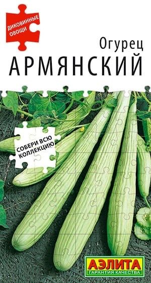 ОГУРЕЦ АРМЯНСКИЙ. Семена. Вес 10 шт. Экзотическая культура, часто именуемая огуречной дыней.  #1