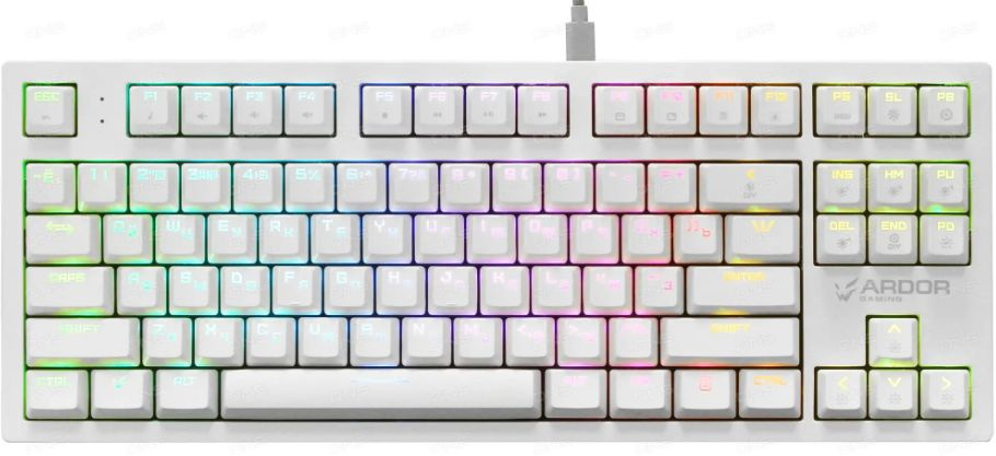 Игровая механическая клавиатура ARDOR GAMING Immortality TKL, Gateron Yellow, 87 клавиш, RGB, проводная, #1