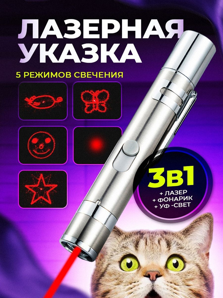 Лазерная указка игрушка для кошек и собак с USB зарядкой #1