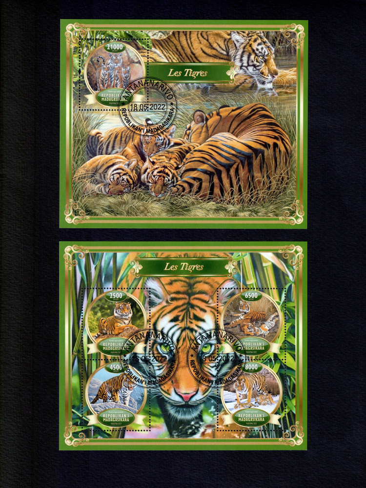 Набор почтовых блоков Мадагаскар Хищные млекопитающие. Тигр. Фауна , 2 штуки, 2022 год  #1
