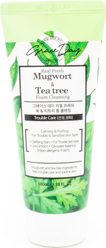 Grace Day / Грейс Дэй Mugwort & Tea tree Foam Cleansing Пенка для умывания, с экстрактами полыни и чайного #1