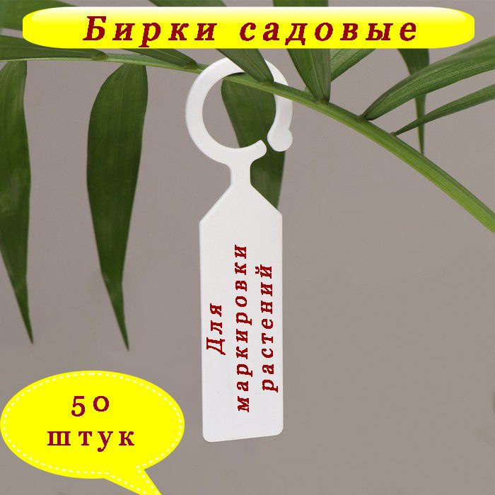 Таблички садовые,2см,50шт #1