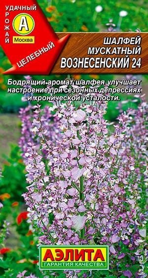 ШАЛФЕЙ МУСКАТНЫЙ ВОЗНЕСЕНСКИЙ 24. Семена. Вес 0,2 гр. Ароматное травянистое растение с ценными декоративными #1