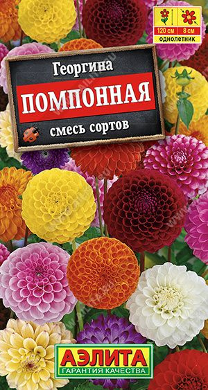 Семена цветов для сада, Георгина помпонная, смесь сортов Агрофирма Аэлита  #1