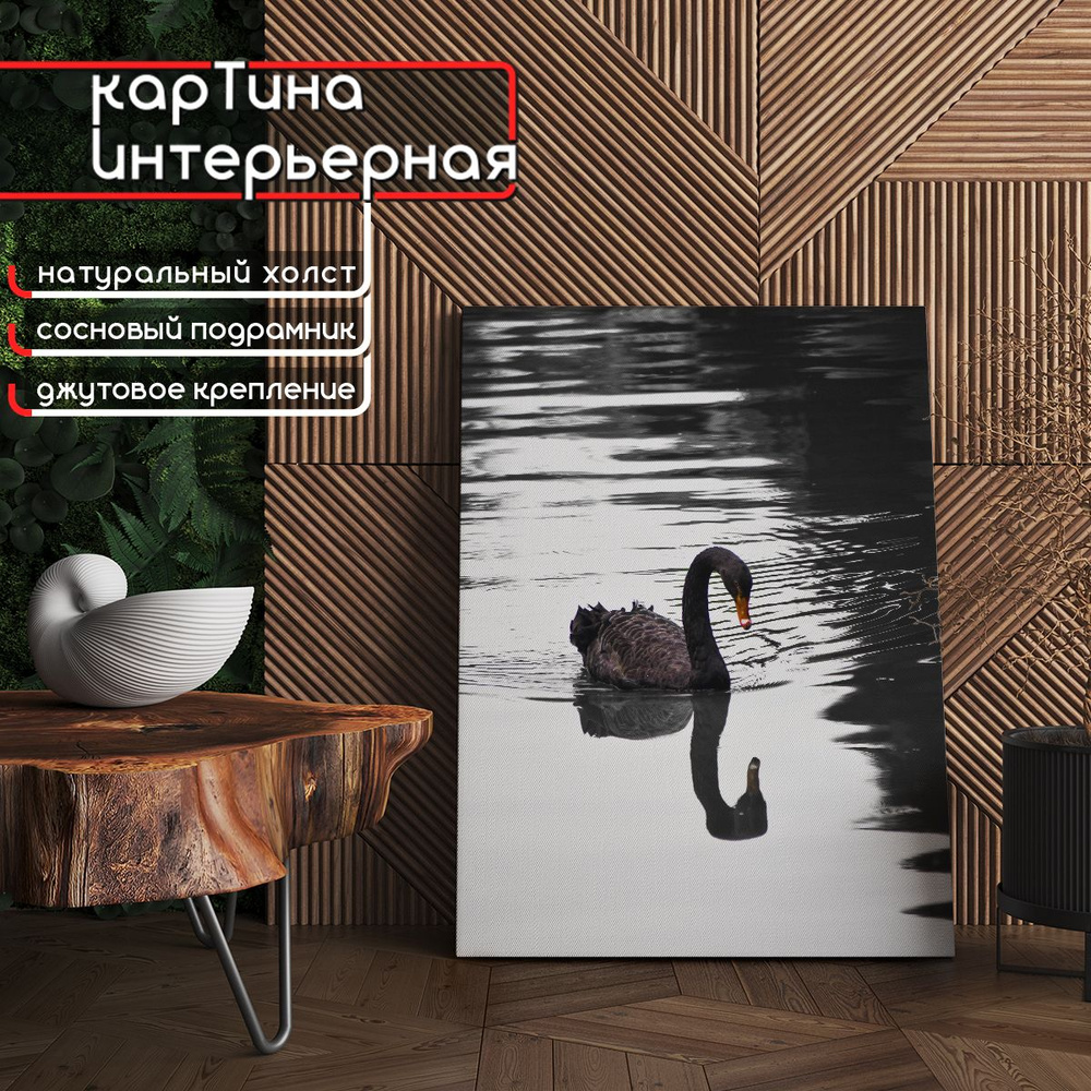 Картина интерьерная на холсте, вертикальная - Одинокий черный лебедь 45x60 см  #1