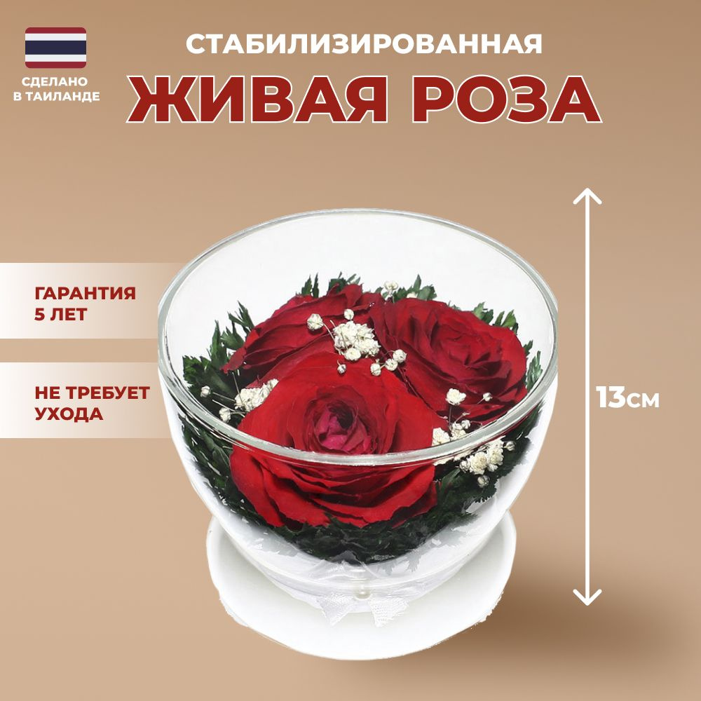 Красные Розы в стекле (8,5 х 8,5 х 7 см) #1