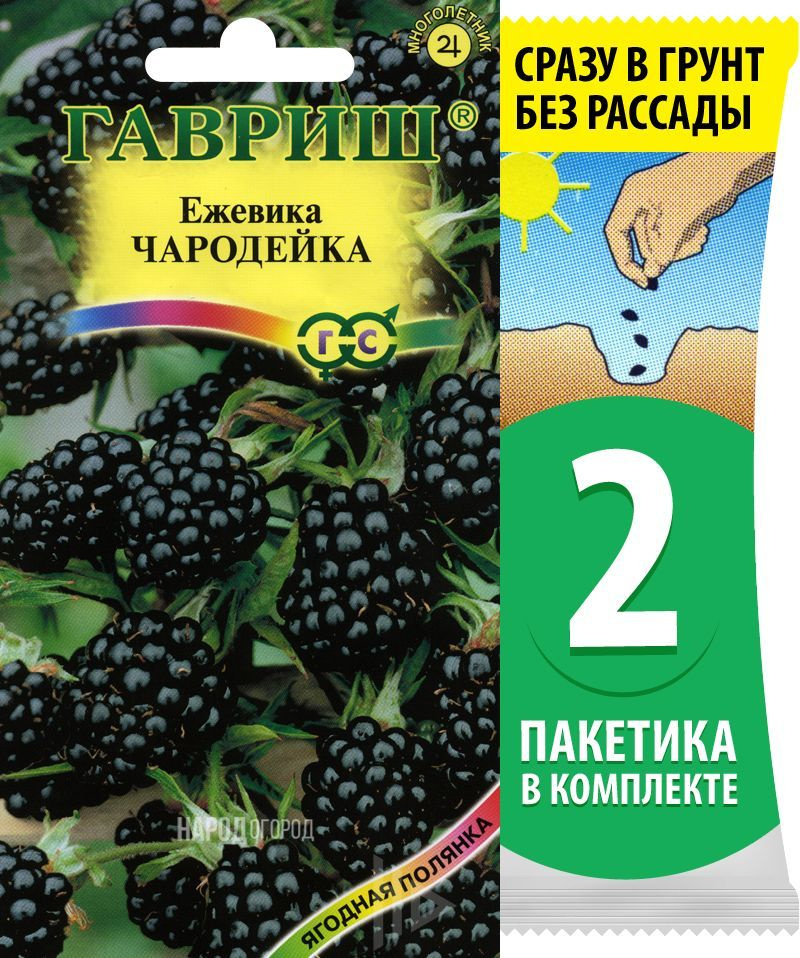 Семена Ежевика Чародейка кустарники многолетние, 2 пакетика по 10шт  #1