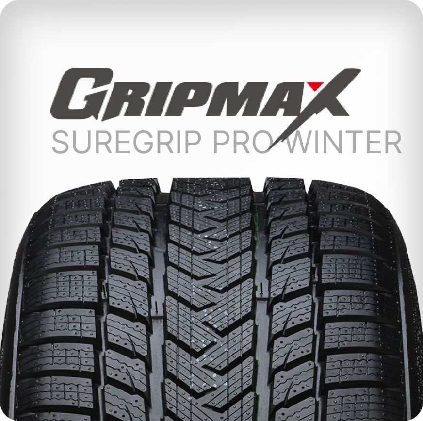 Gripmax SureGrip Pro Winter Шины  зимние 285/30  R20 99V Нешипованные #1