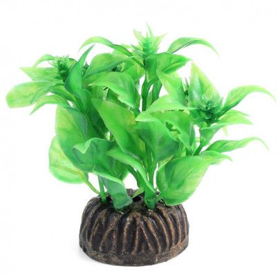 Растение "Альтернантера" зеленая, 80мм #1