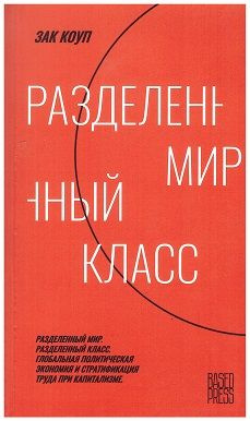 Разделенный мир. Разделенный класс. Глобальная политическая экономия и стратификация труда при капитализме #1