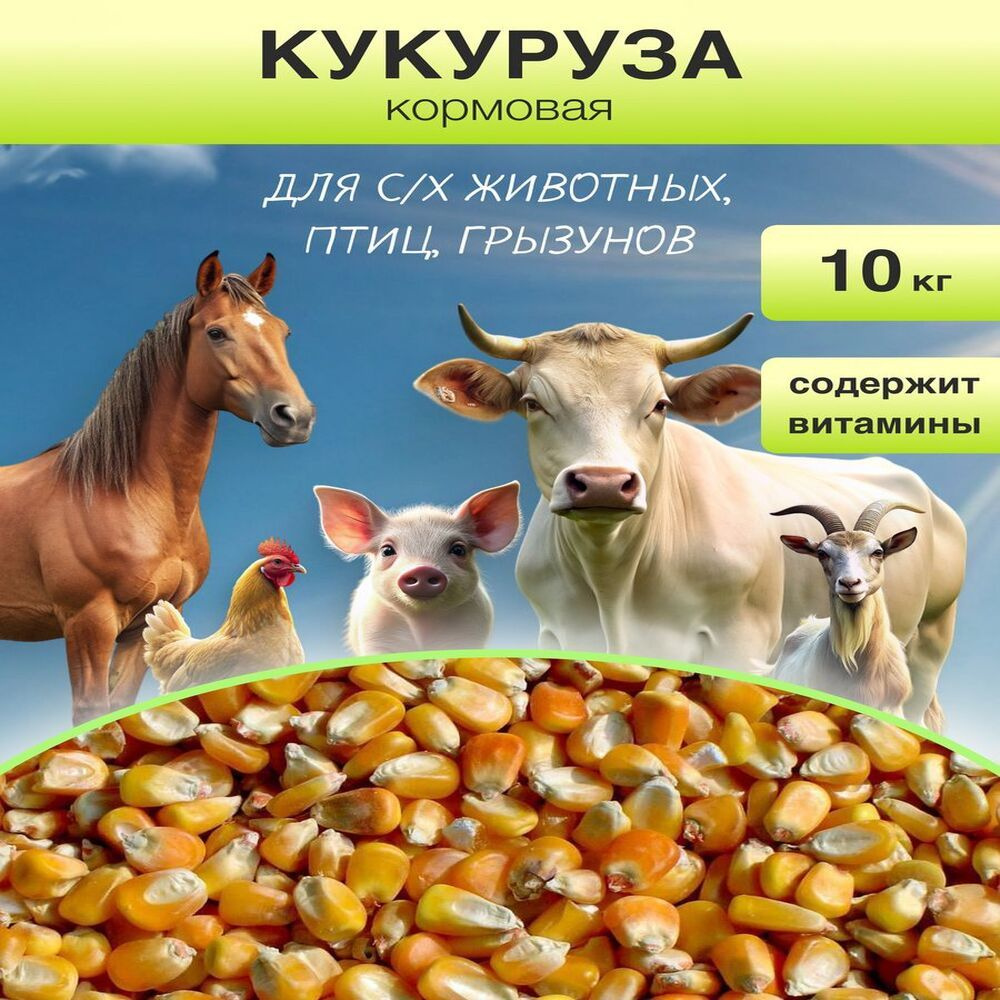 Кукуруза для птиц и сельскохозяйственных животных / Сухой корм для кур, бройлеров, лошадей и свиней / #1