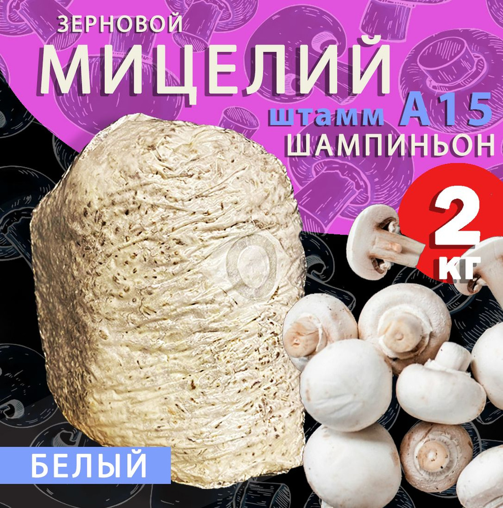 Шампиньоны, зерновой мицелий (125 г, 250 мл)