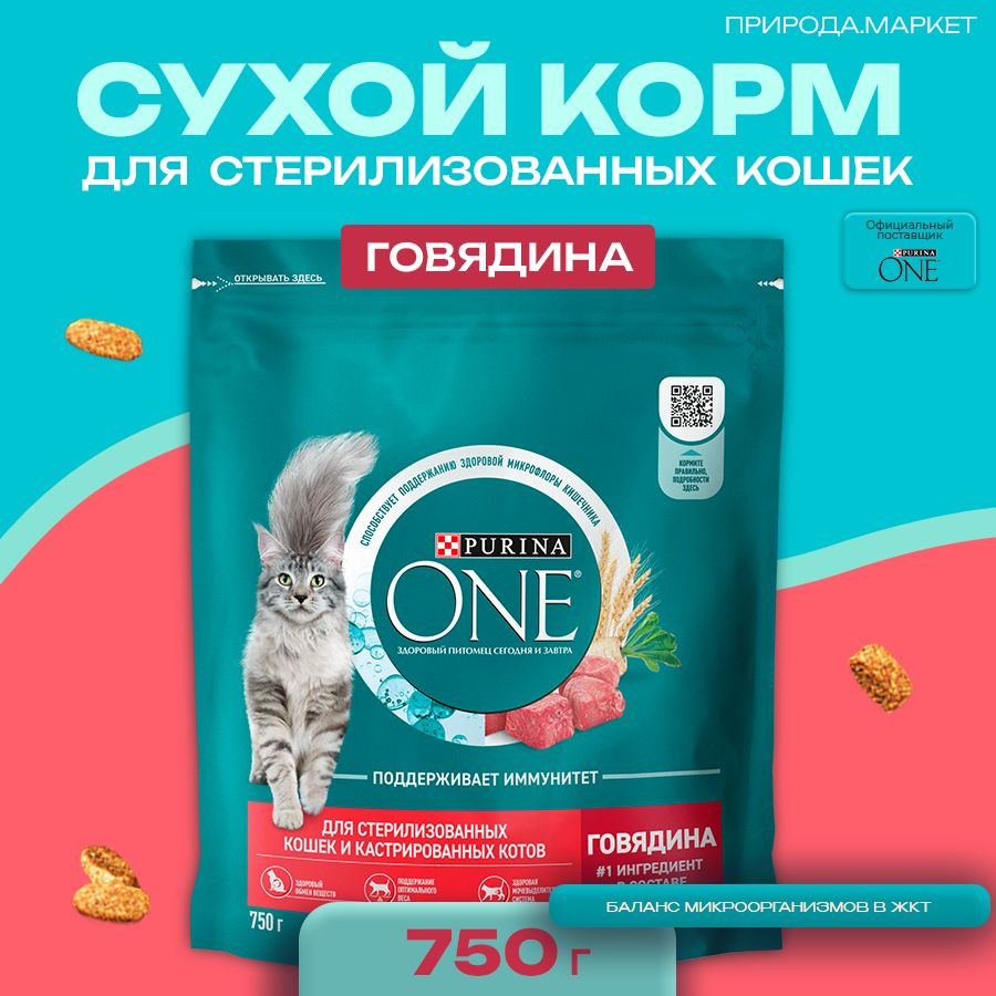 Сухой корм Purina ONE для стерилизованных кошек и котов с говядиной и пшеницей, пакет, 750 г  #1